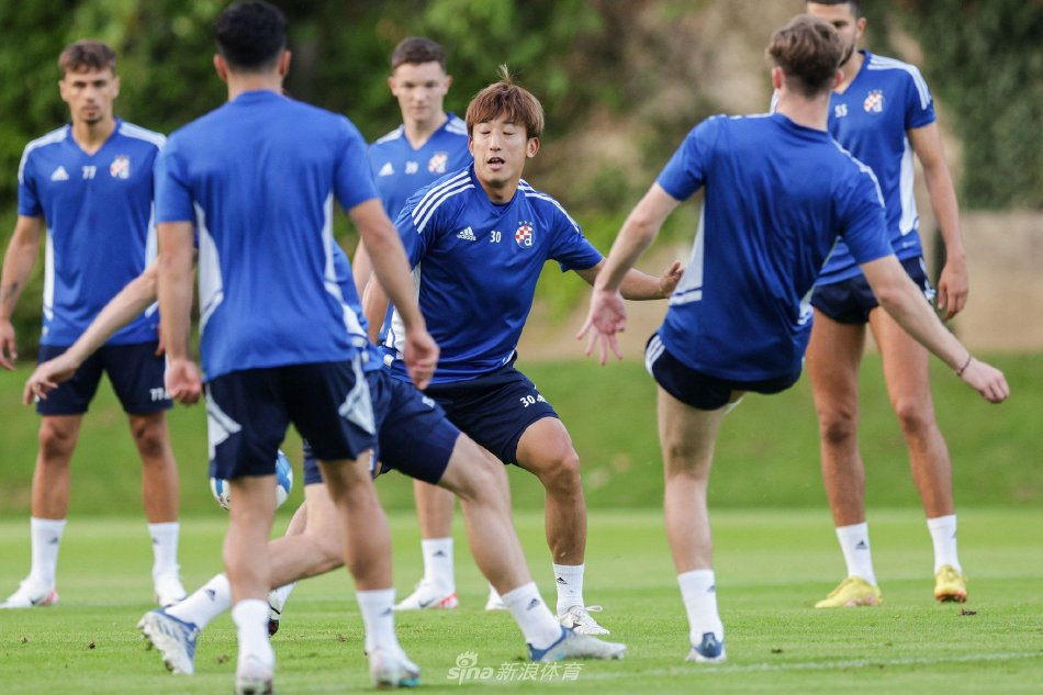 断的新鲜活 断的新鲜活